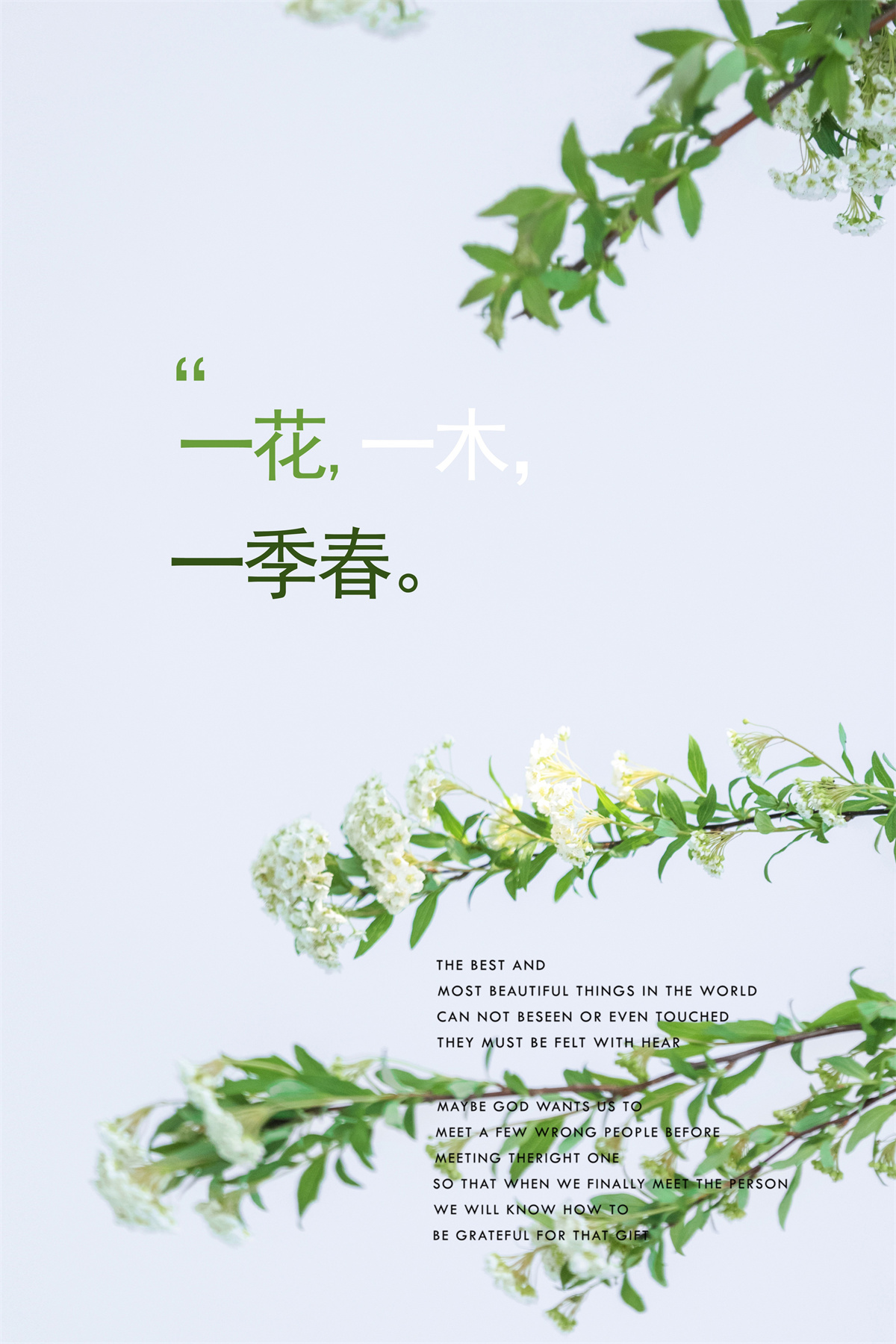 浪漫韩式-图片4