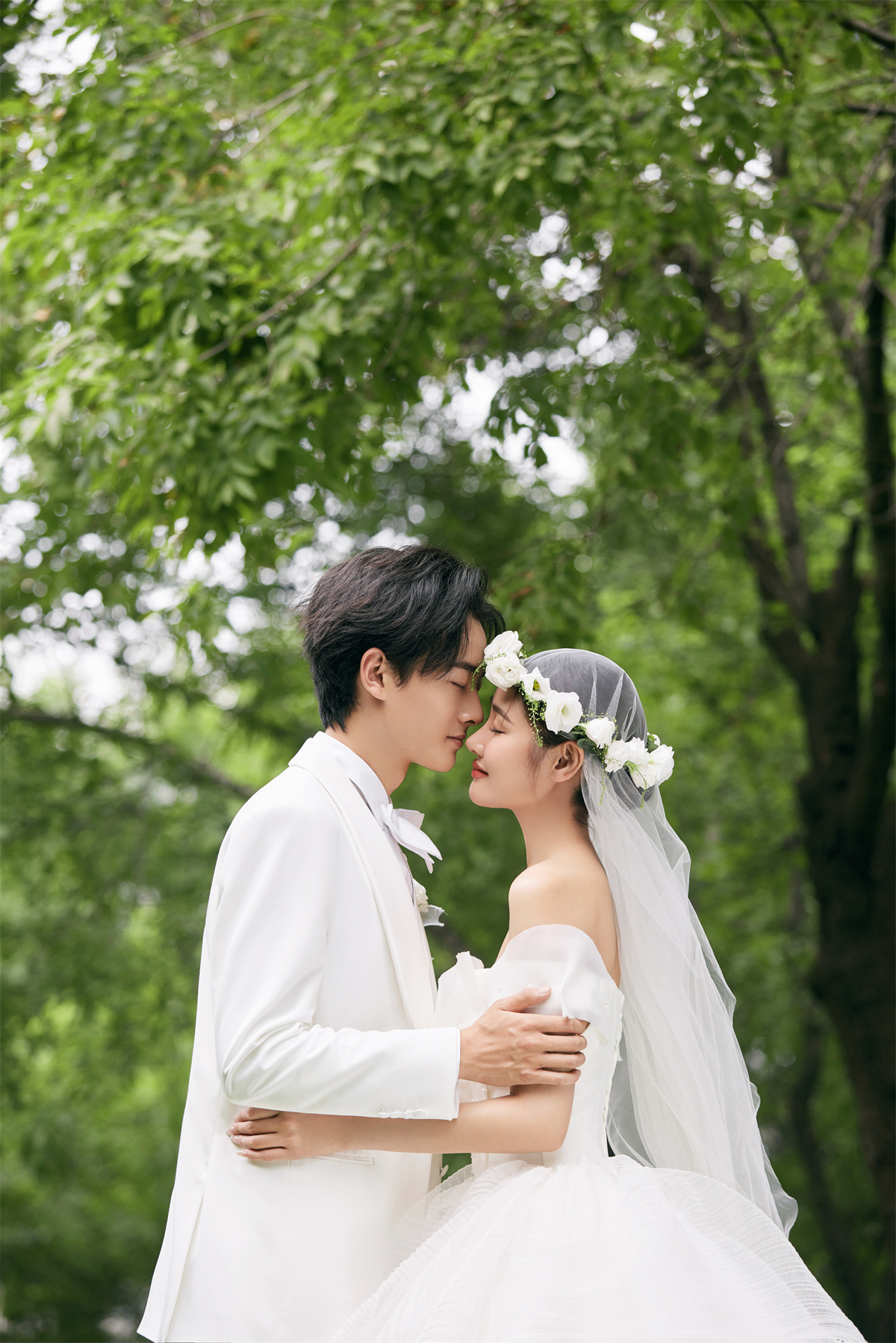 清新草地-图片3