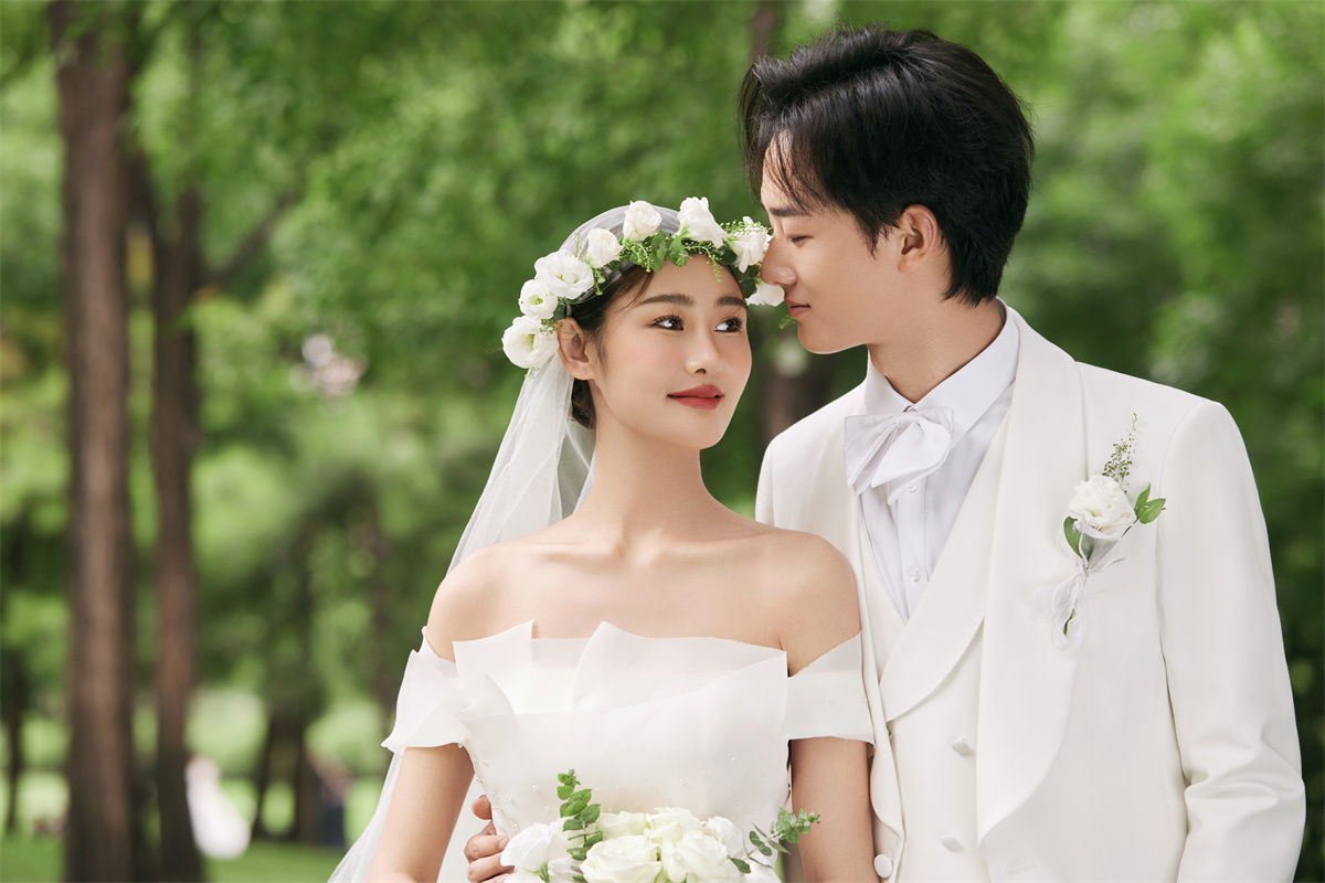 清新草地-图片2