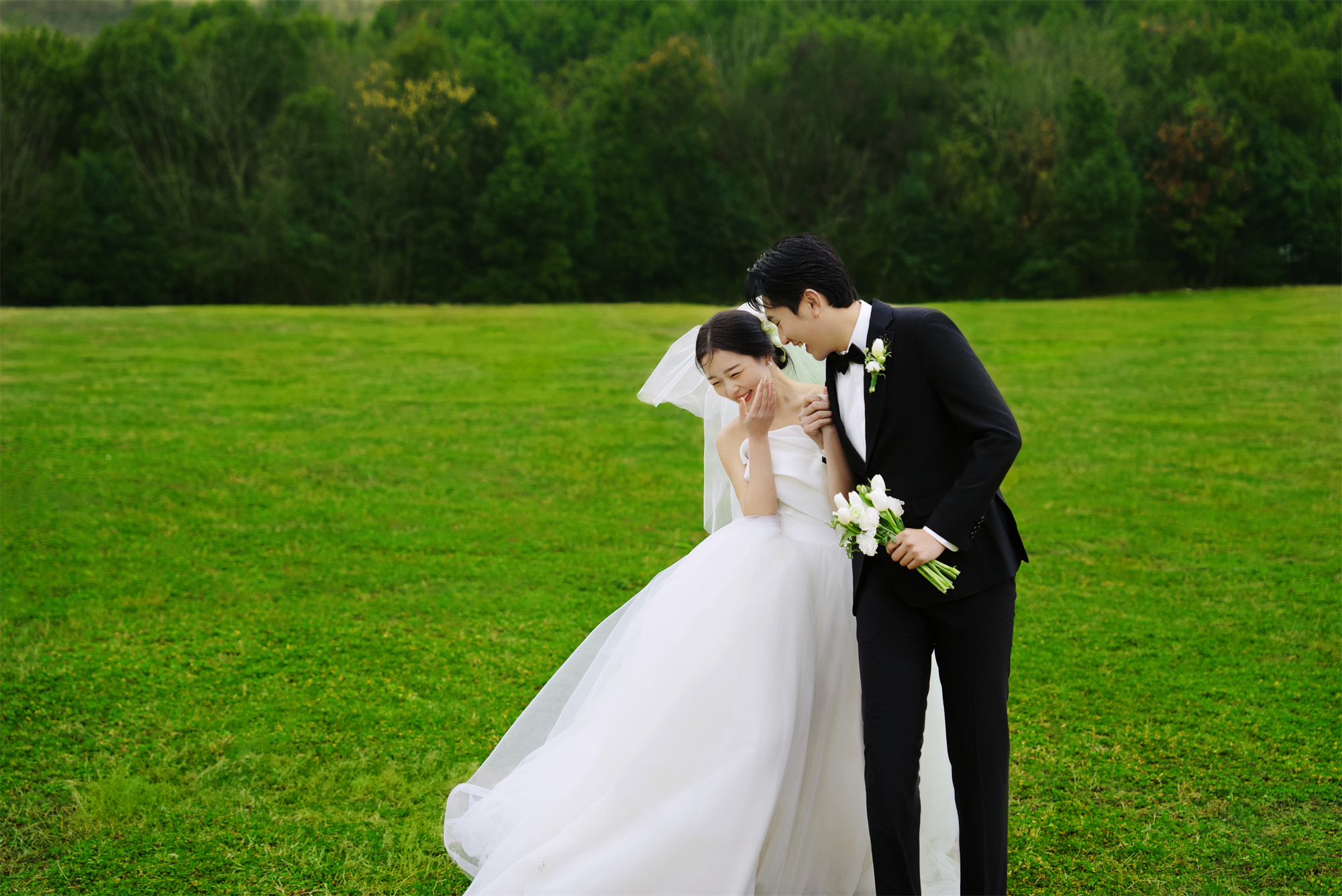 清新草地-图片2