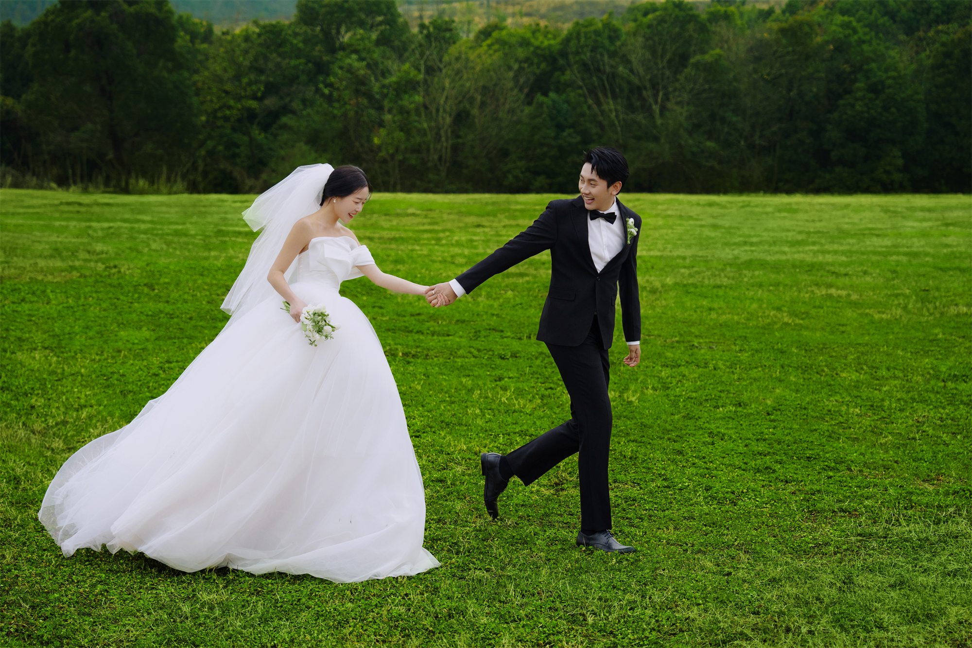 清新草地-图片3