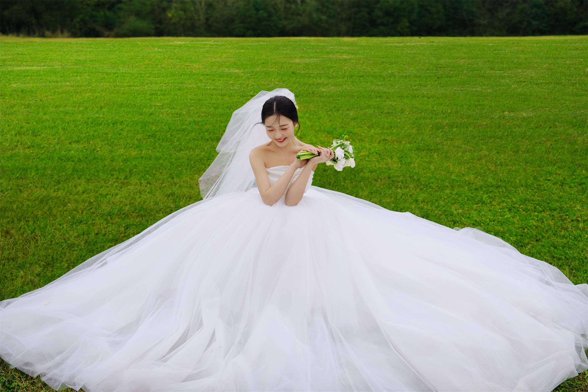 清新草地-图片5