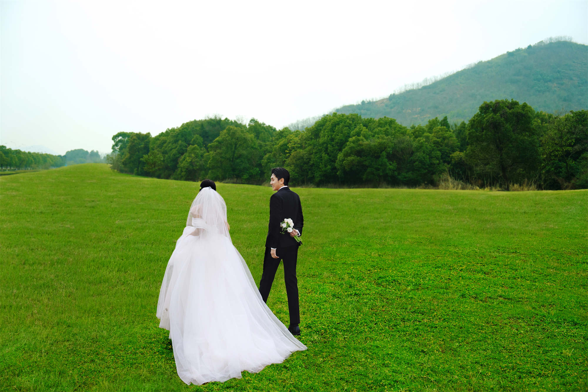 清新草地-图片6