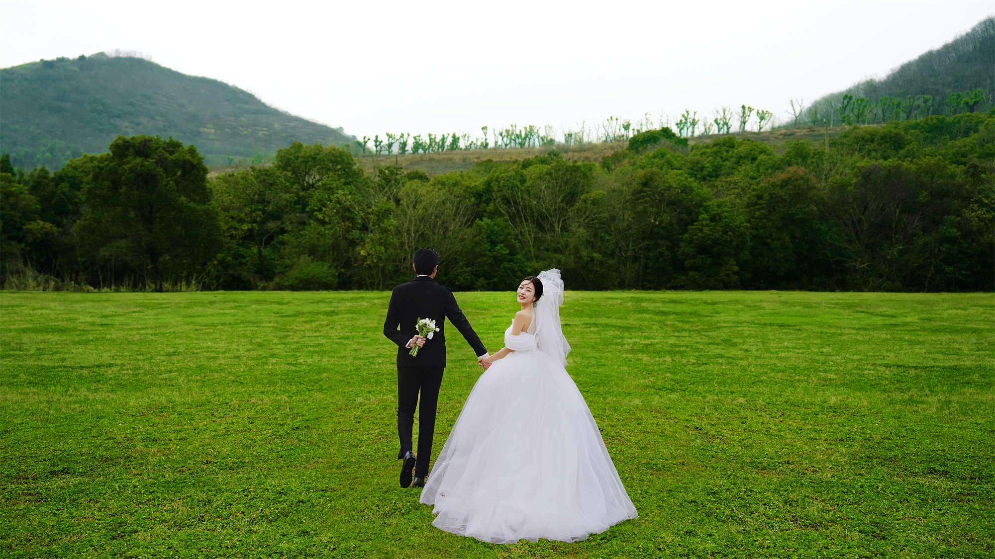 清新草地-图片7