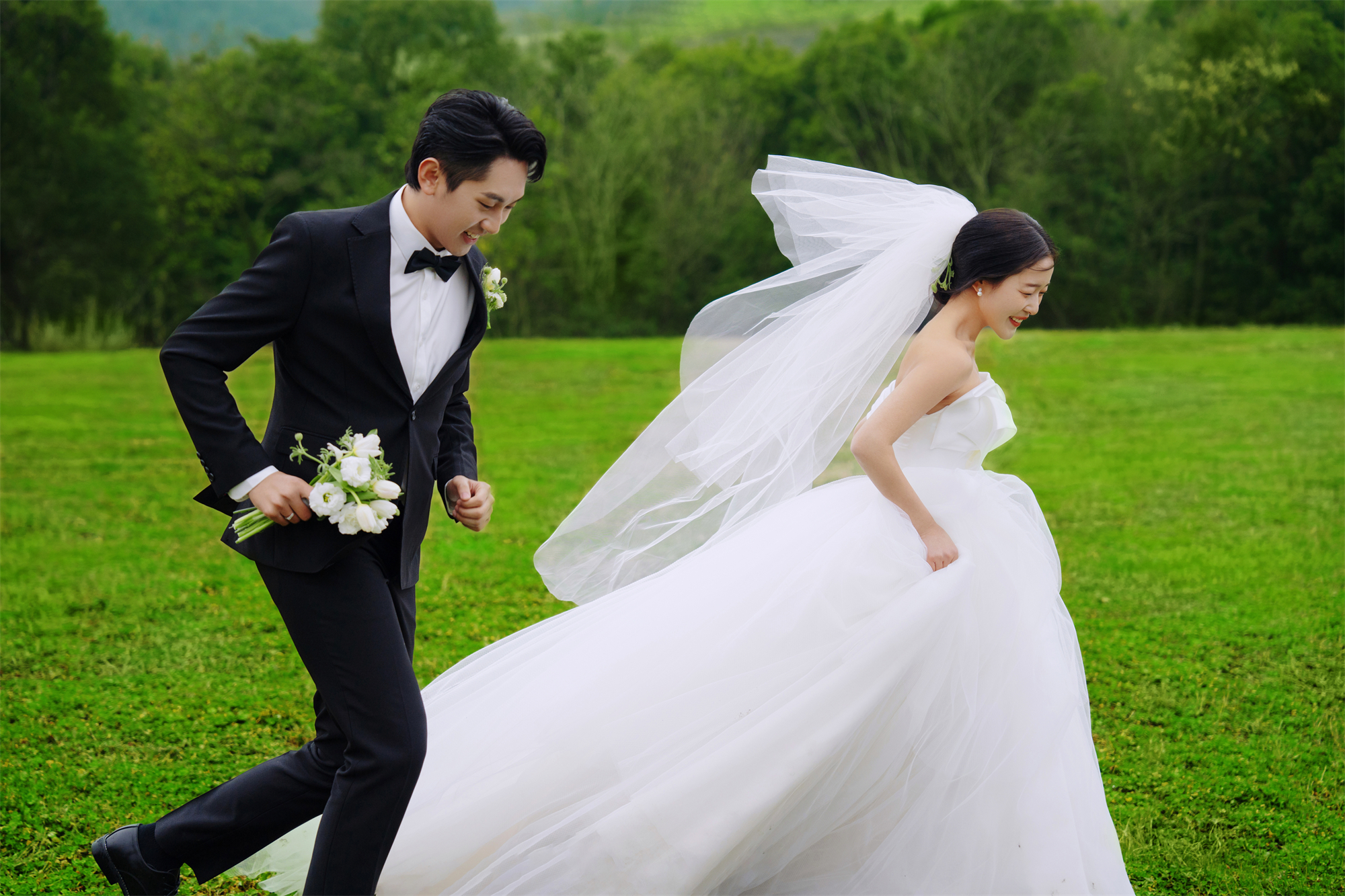 清新草地-图片8