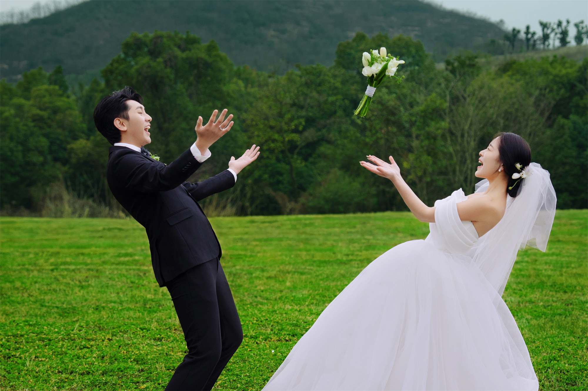 清新草地-图片11