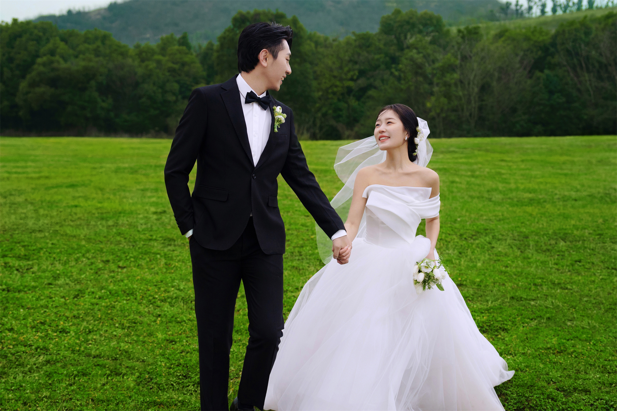 清新草地-图片12