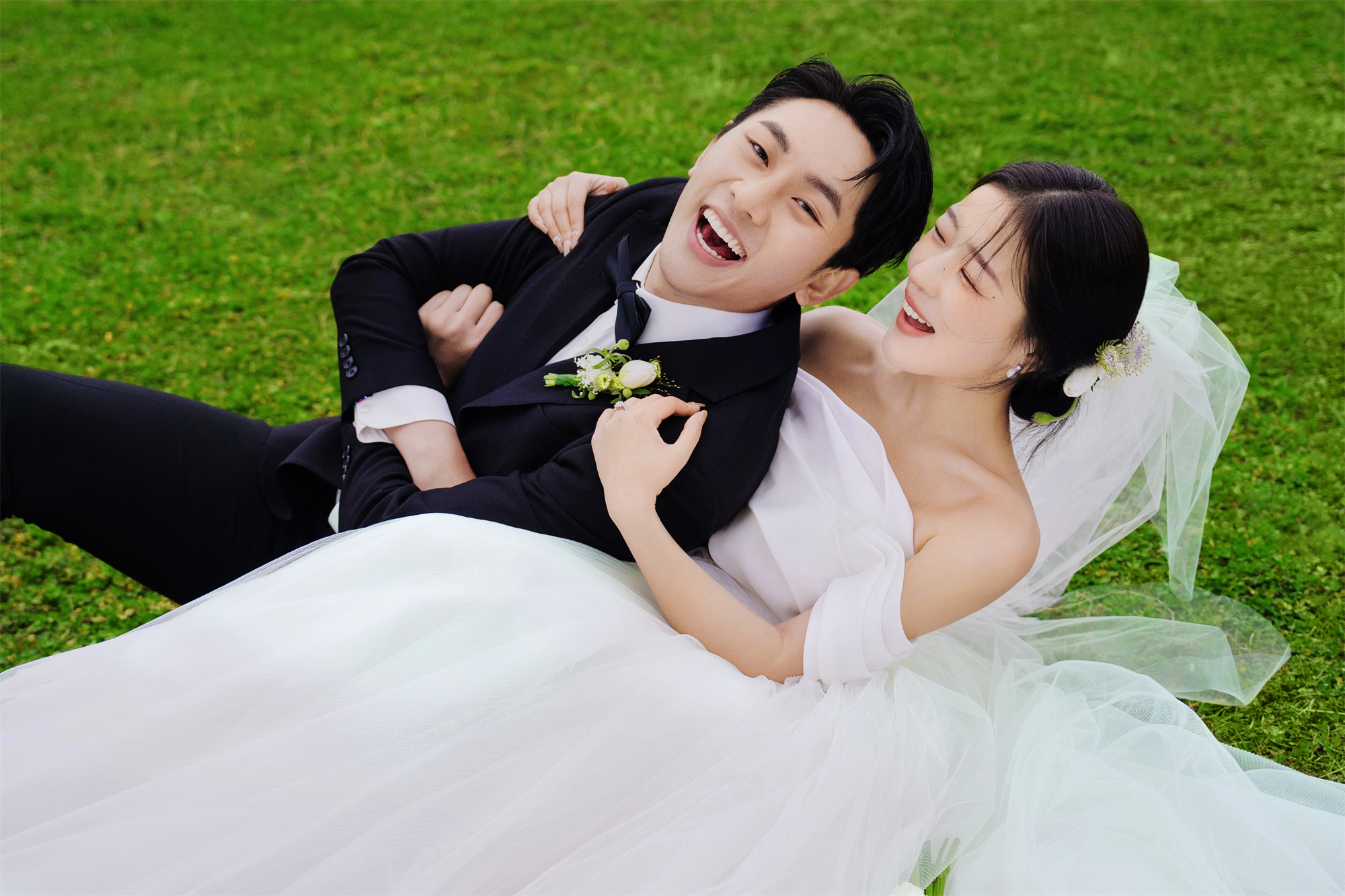 清新草地-图片14