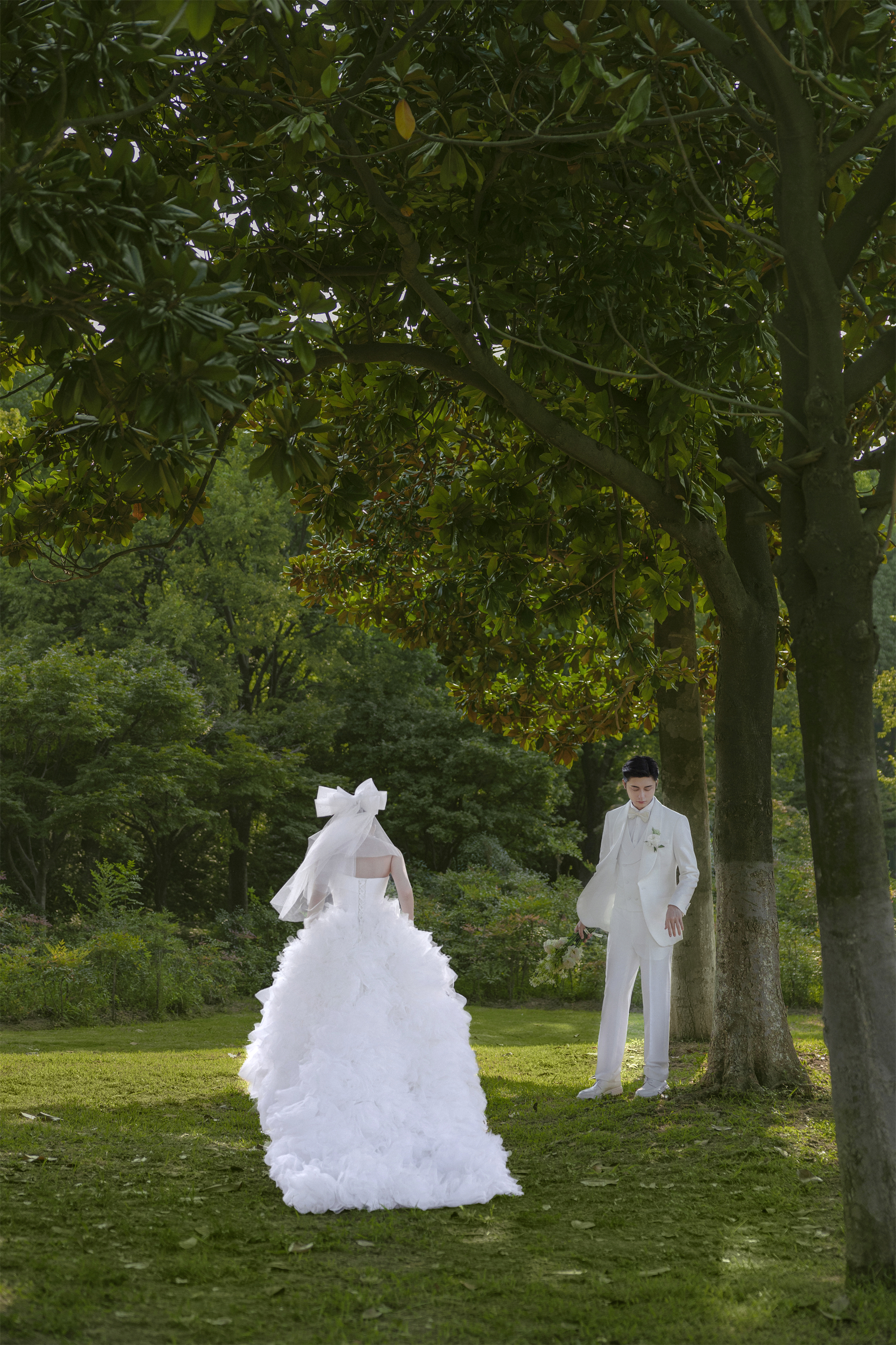 清新草地-图片10