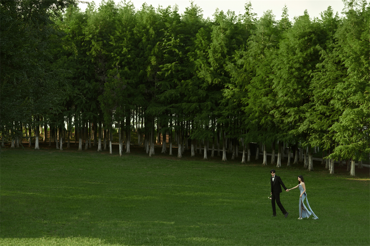 草坪绿地-图片7