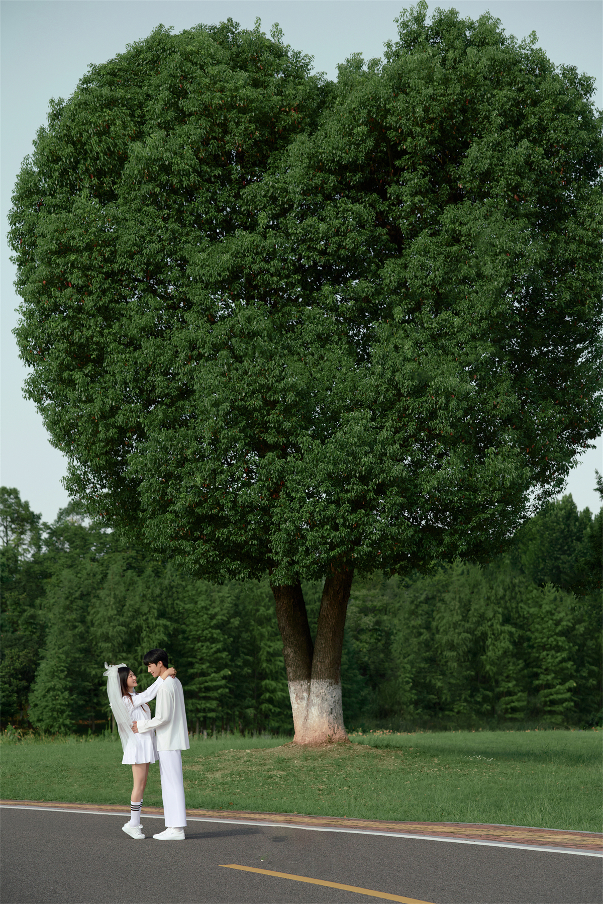 清新草地-图片1