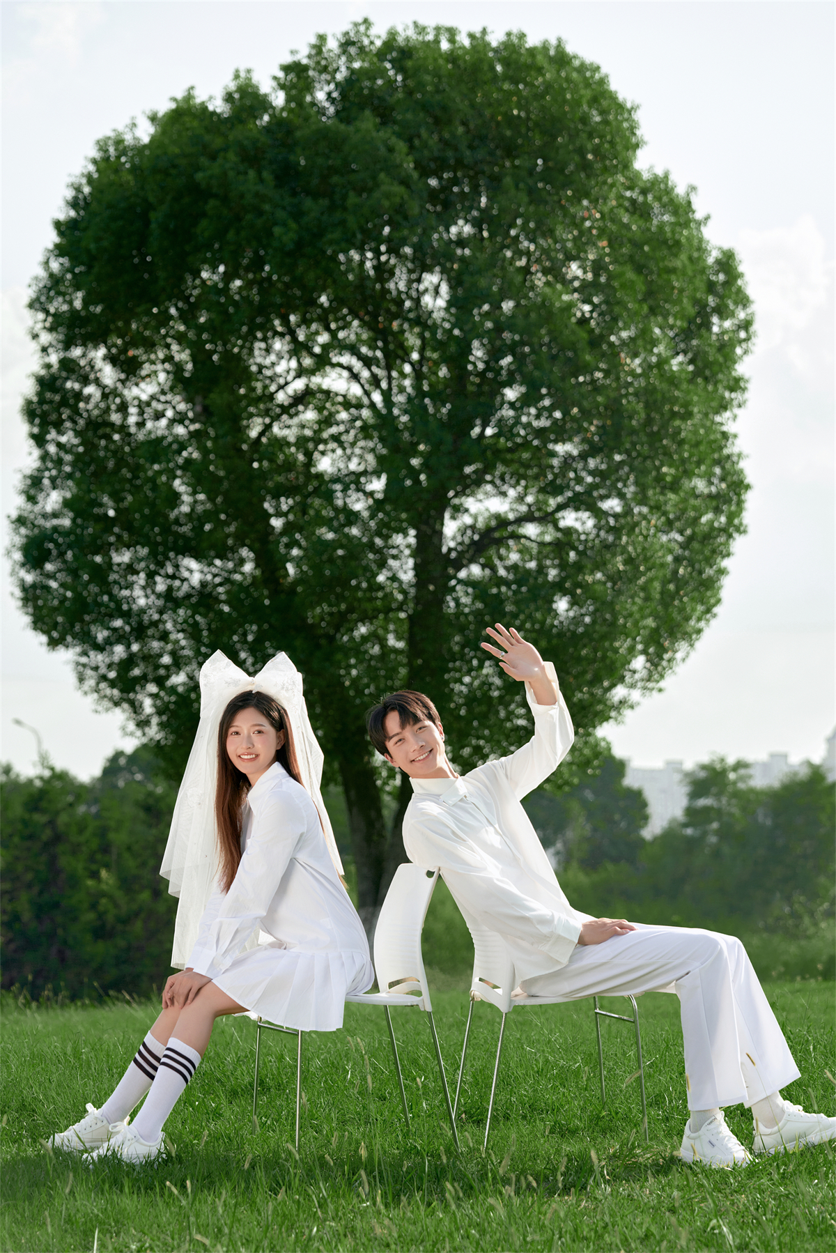 清新草地-图片2